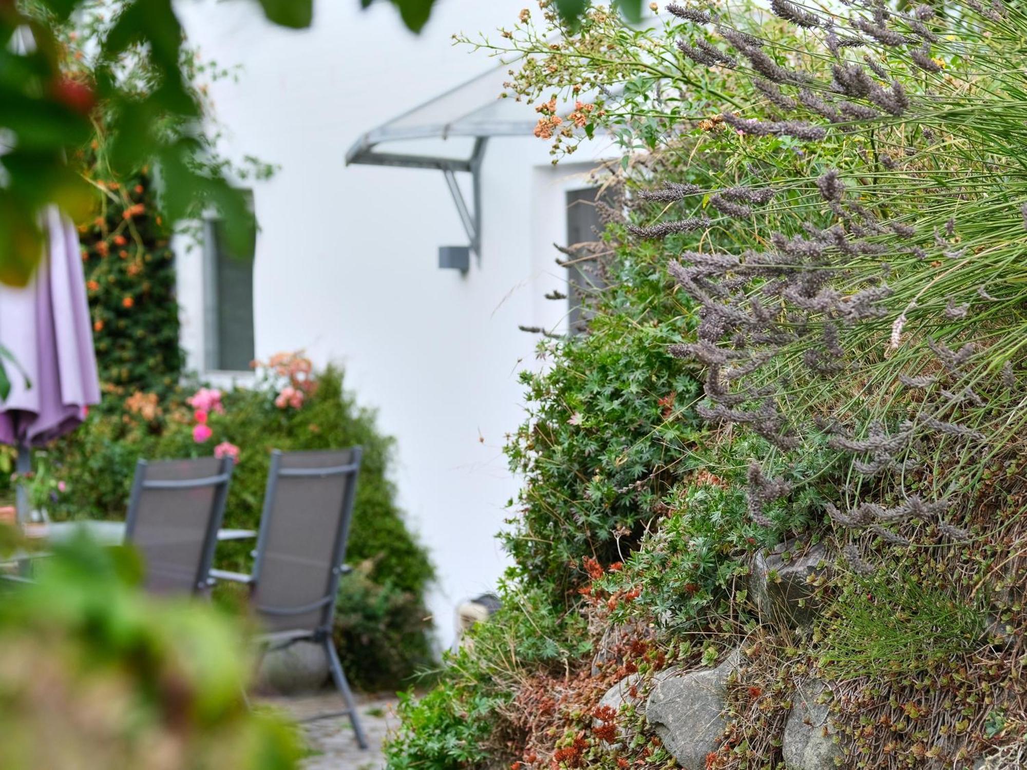 Schöne Wohnung mit Sonnenterasse Glücksburg Exterior foto